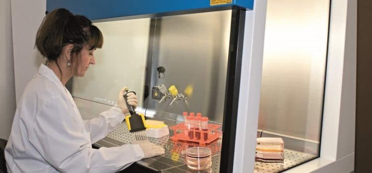 Un poste de sécurité microbiologique pour les scientifiques exigeants