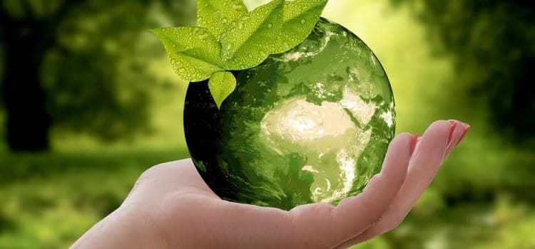 Restauration : et si vous pensiez à la vaisselle écologique ?