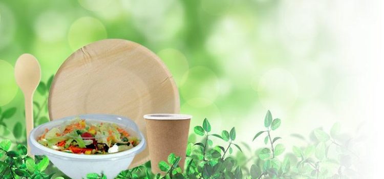 Matériaux écologique - empreinte plastique