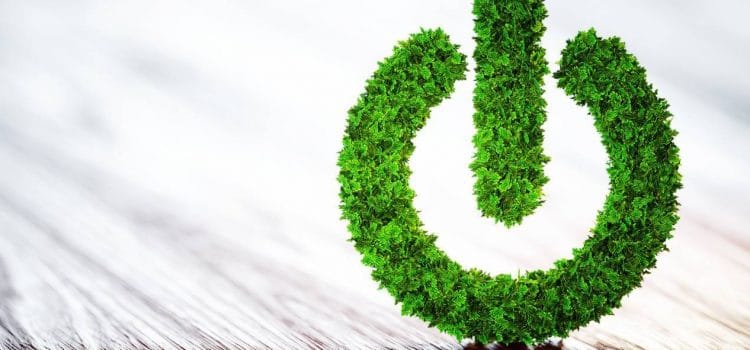 2 astuces pour un site web plus écologique